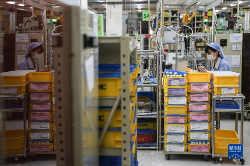 北京一線生產進行時 網絡技術服務驅動城市智慧未來